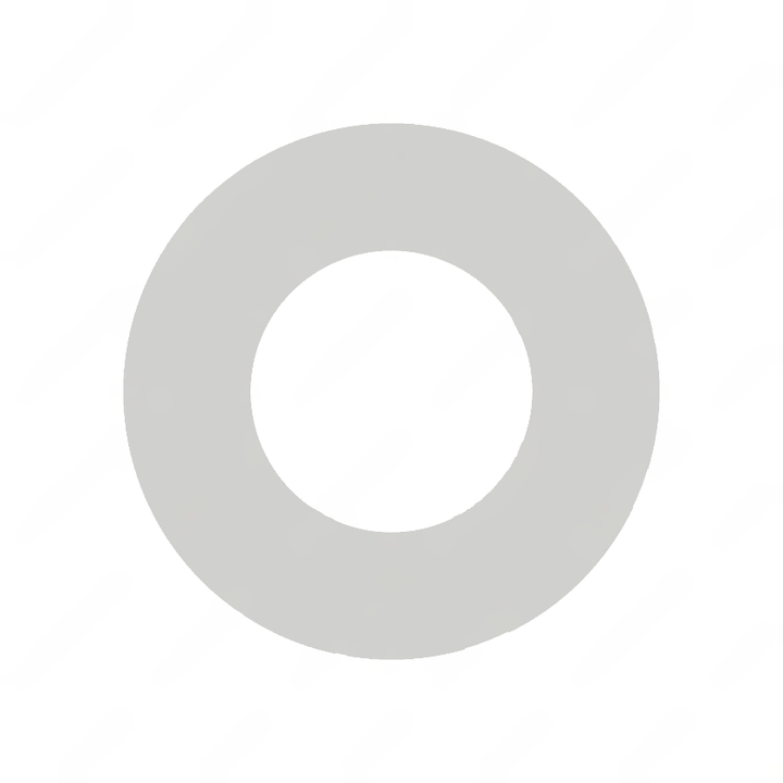 A   990 990 87 07 WASHER  ISO 7089-10-200HV DBL9440.40