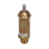 BW  221154N SAFETY VALVE