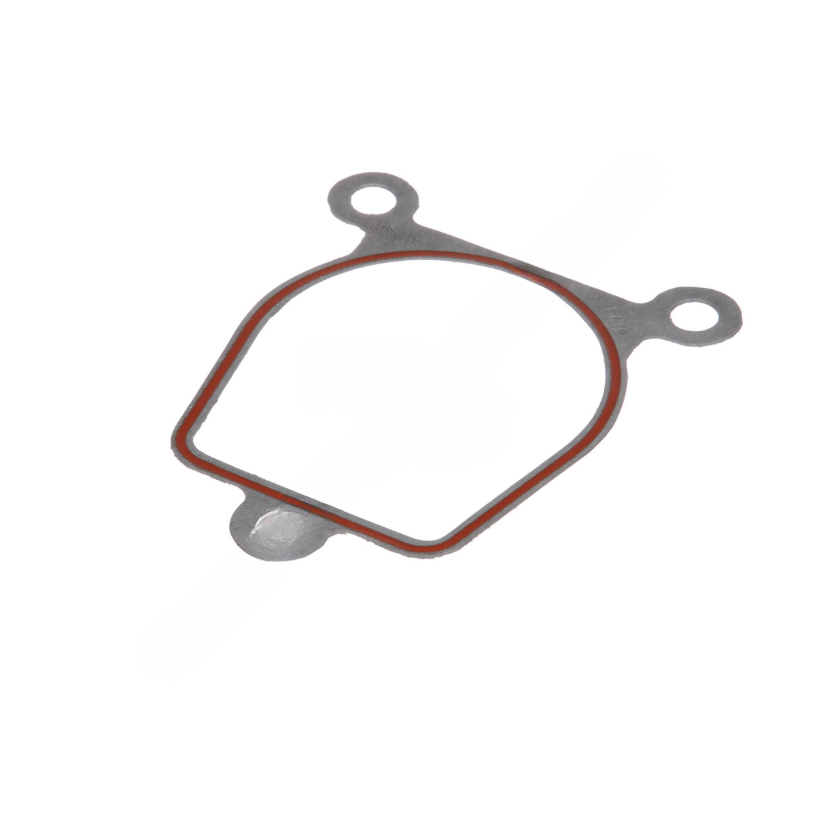 BW  296627 GASKET