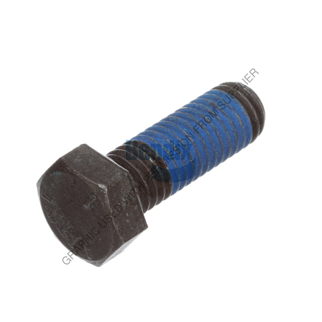 BW  M10HM306 CAP SCREW