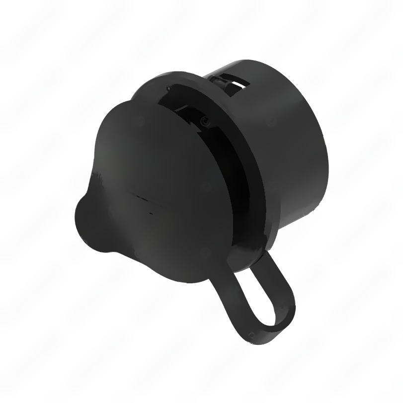 CAS 217131 001 CAP MOUNTING RING
