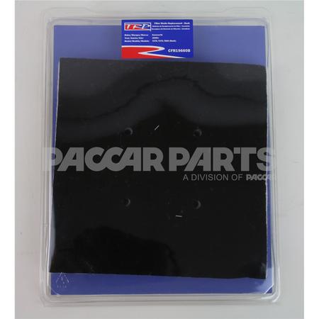 CFR19660B FILTER-AIR CAB EXTERIOR REPLACE