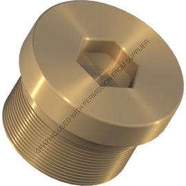 CM  105272 PORT PLUG SAE 9116,NON-MAGNETIC