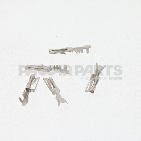 CN20300 TerminalStraight 1618Gapack