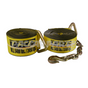 CS430YD StrapCargo 4X30 WDelta Ring