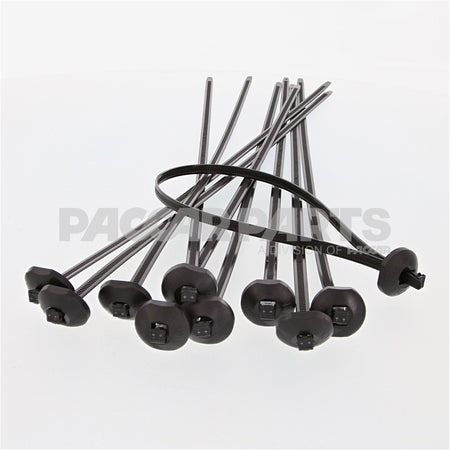 CTB5518 TieCable Button Head 100Lb 15