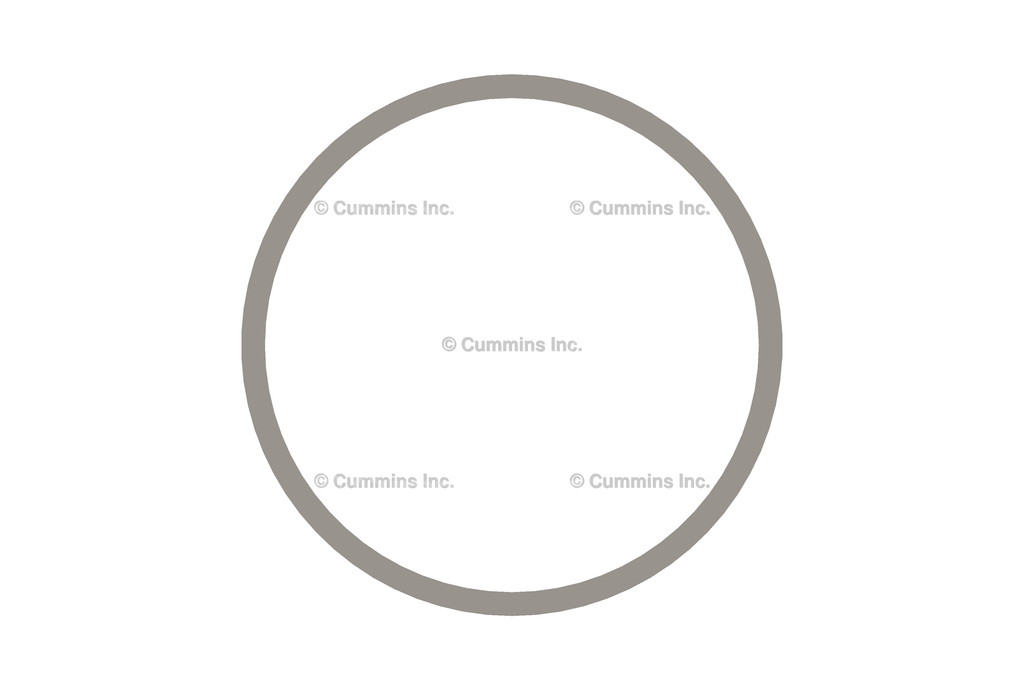 3899746 GASKET,ACC DRIVE SUPPORT Image 1
