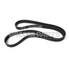 D84-1000-3122460 BELT-POLY 12 RIBS X 2460 ORION HD/PLYSTR