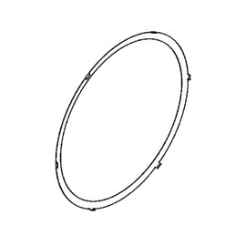DDE A0004911380 SEALING RING