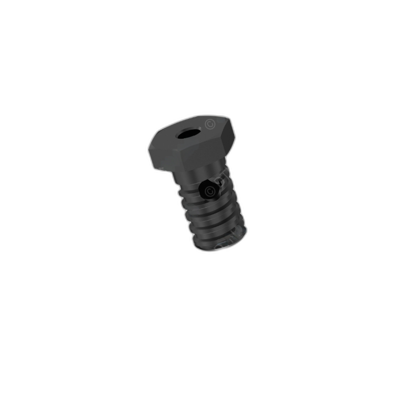 DDE A0009909363 BANJO SCREW