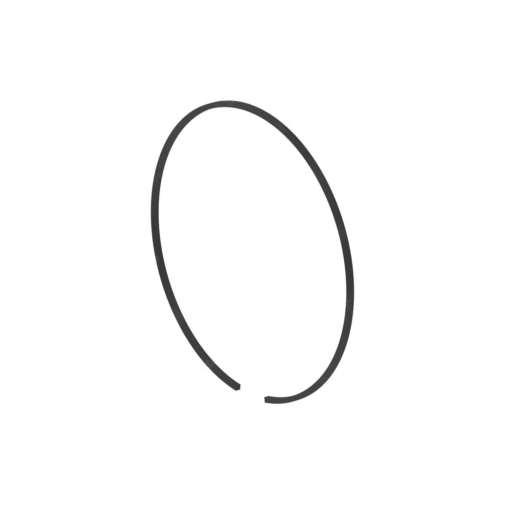 DDE A0019948040 SNAP RING