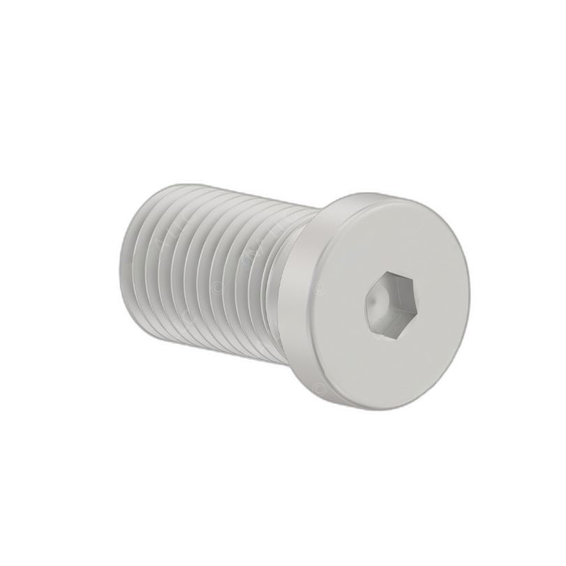 DDE A0029908017 SCREW PLUG