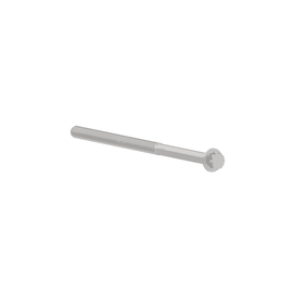 DDE A0039901100 BOLT