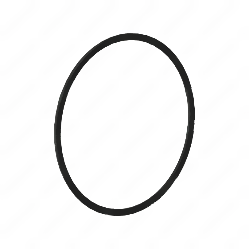 DDE A0119974445 SEAL RING