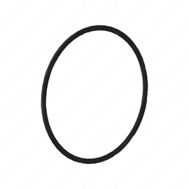 DDE A0119974445 SEAL RING
