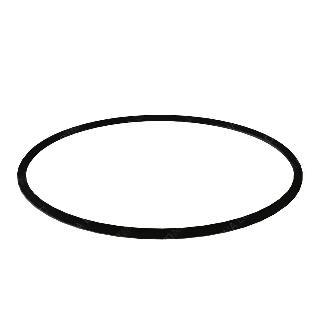 DDE A0179979345 O-RING SEAL