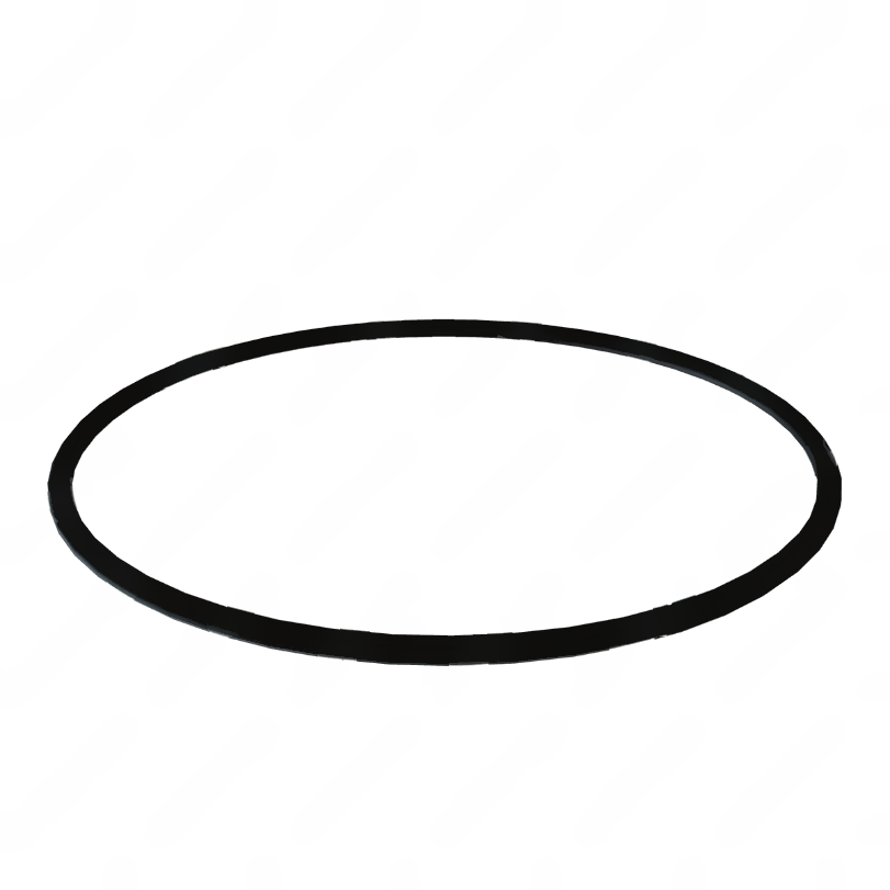 DDE A0179979445 O-RING