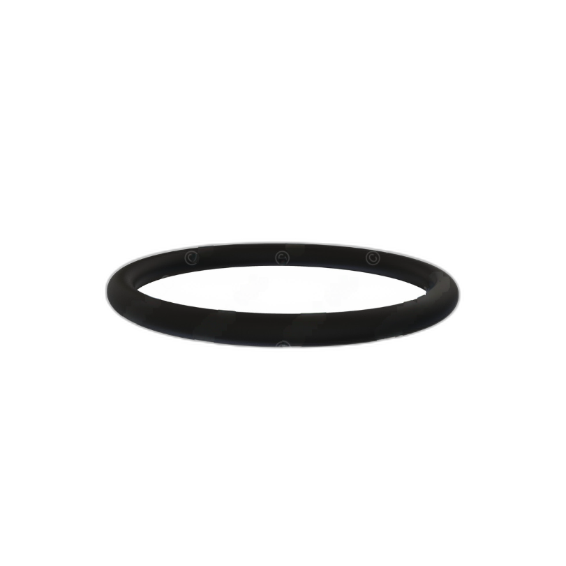 DDE A0189979245 O-RING