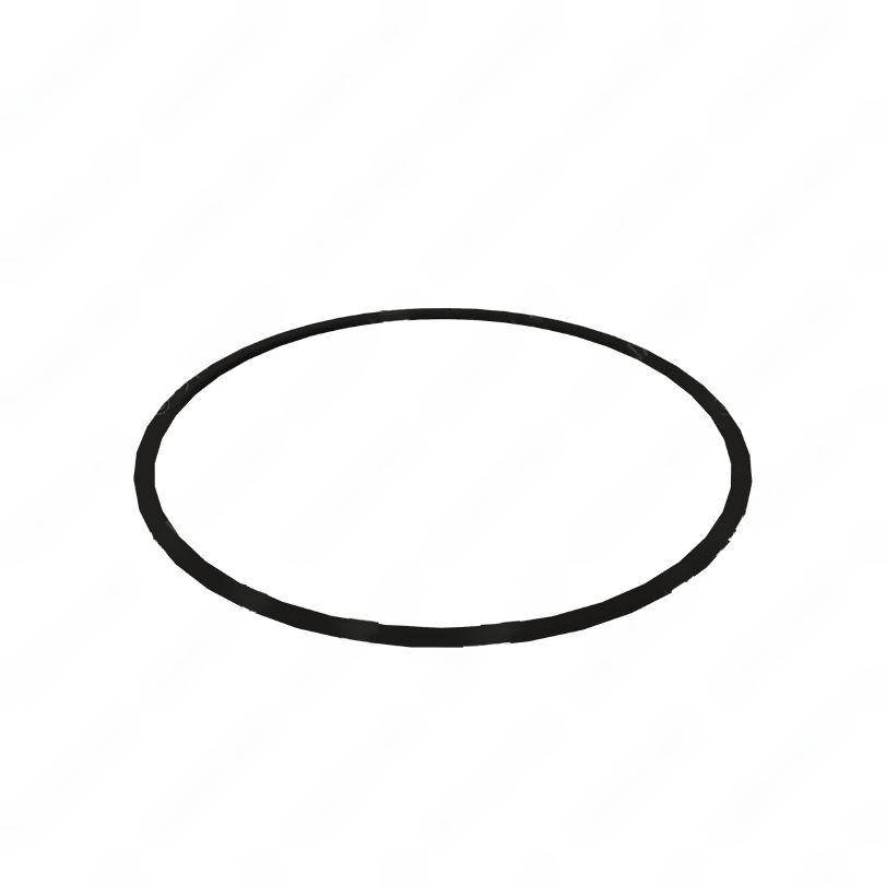 DDE A0219972545 SEAL RING