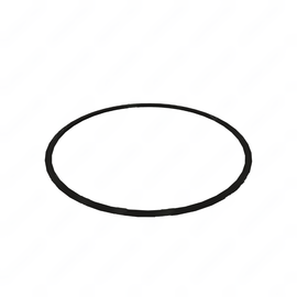 DDE A0219972545 SEAL RING