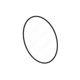 DDE A0239977145 O-RING - GENERAL PURPOSE