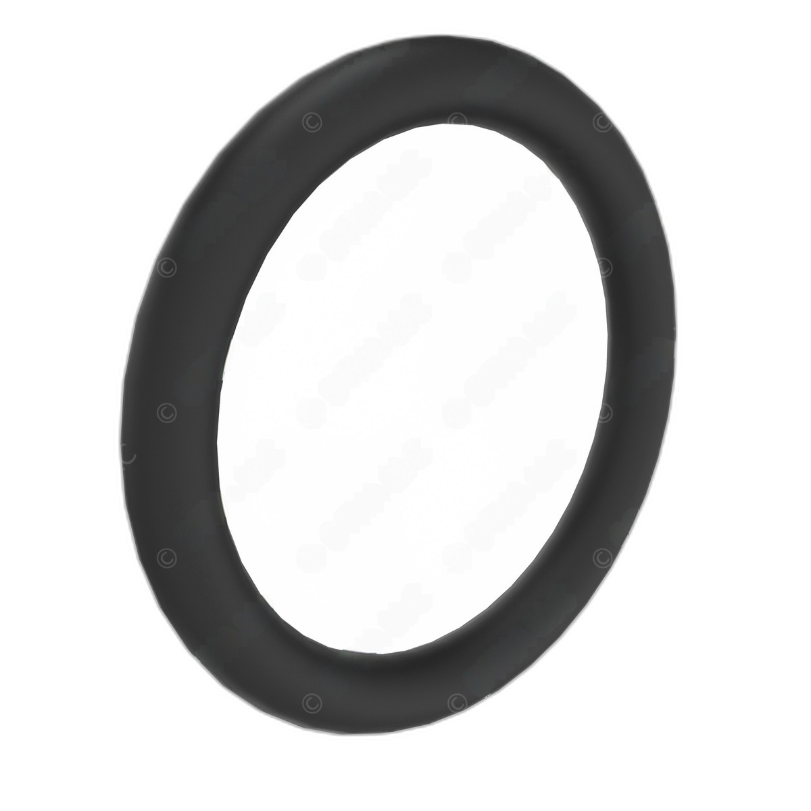 DDE A0249971648 SEAL RING