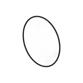 DDE A0249972148 SEAL RING