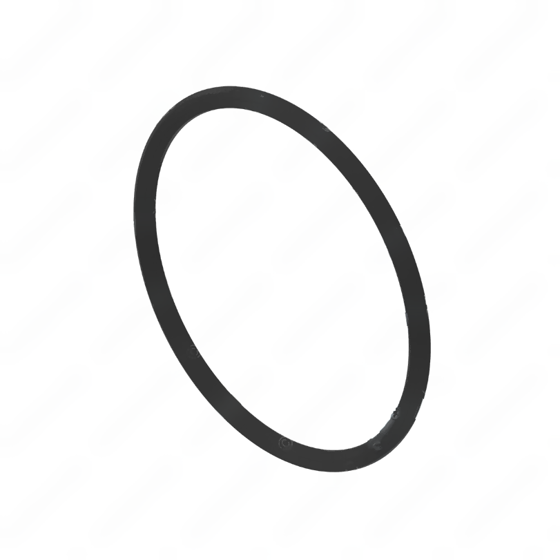 DDE A0259974348 SEAL RING
