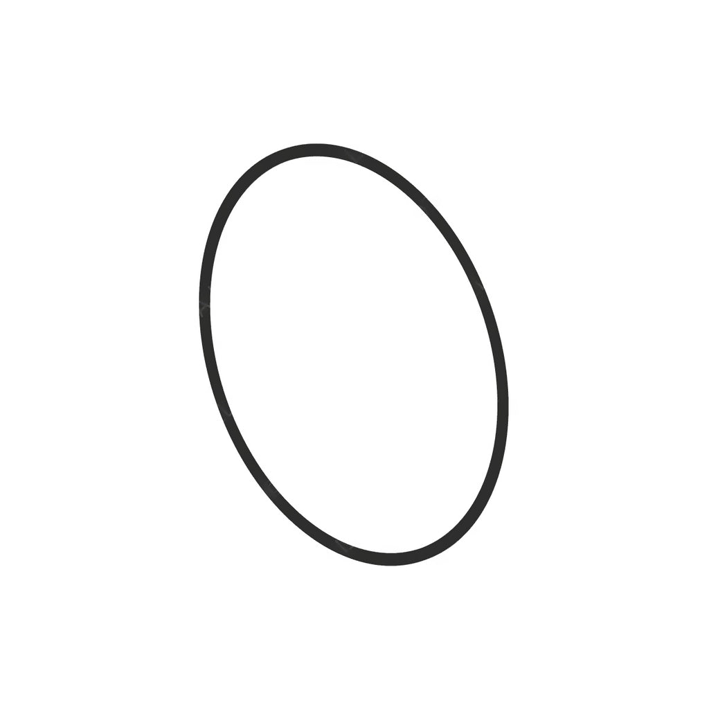 DDE A0289977245 O-RINGS, TOROIDAL SEALING RINGS