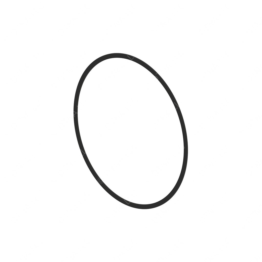DDE A0289977245 O-RINGS, TOROIDAL SEALING RINGS