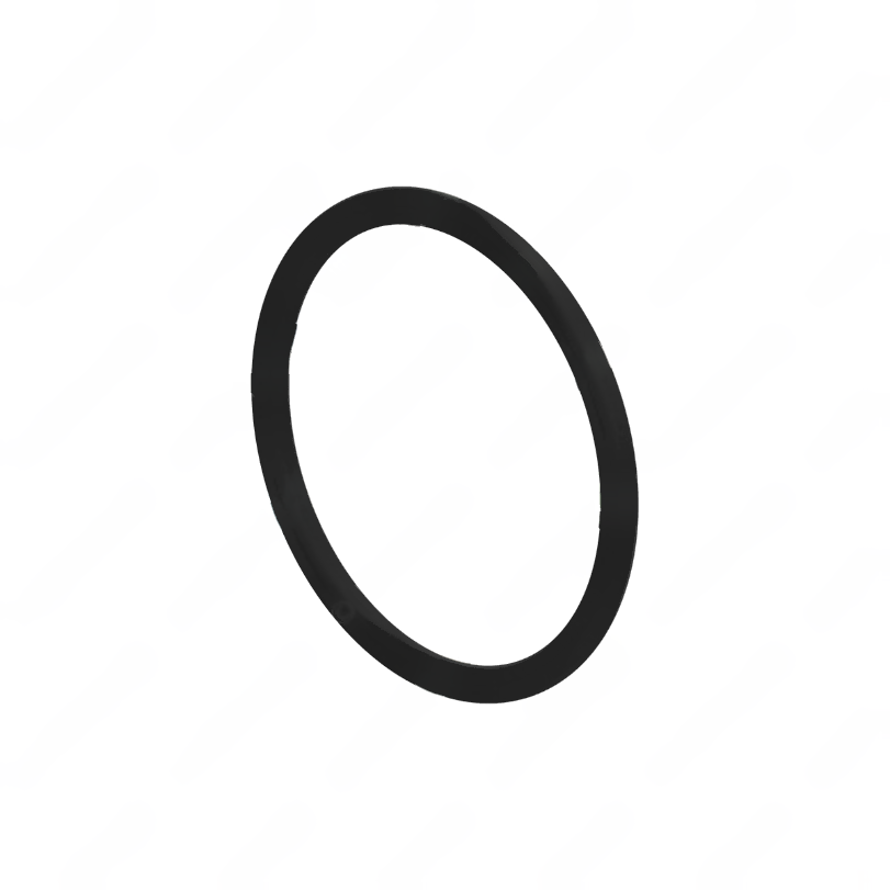 DDE A0309977645 SEALING RING