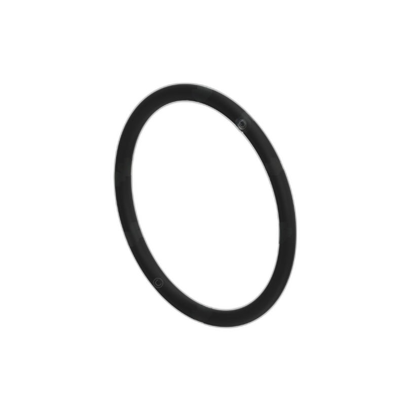 DDE A0309977745 SEALING RING