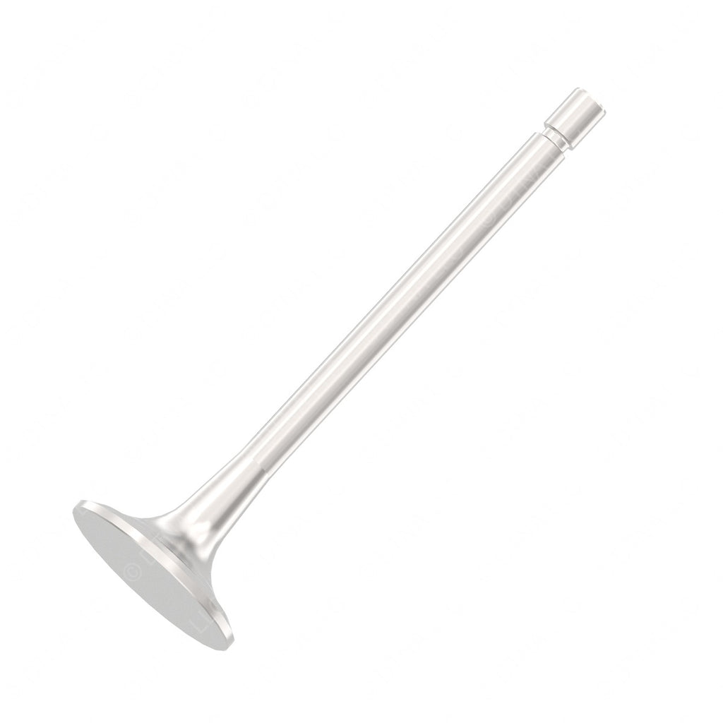 DDE A4570530001 INTAKE VALVE