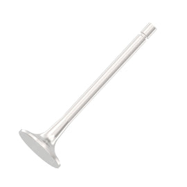 DDE A4570530001 INTAKE VALVE