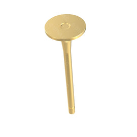 DDE A4600530001 INTAKE VALVE