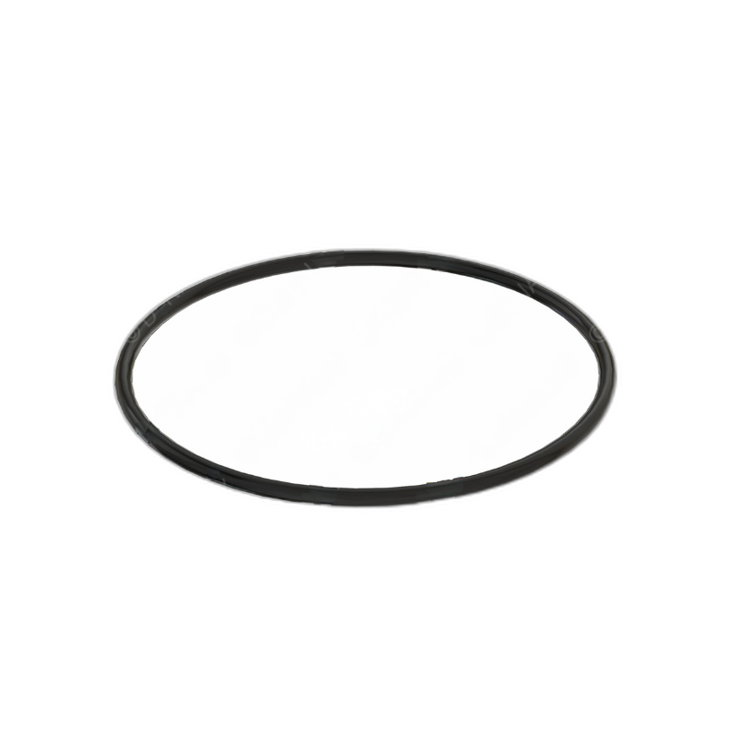 DDE A4729970645 SEAL