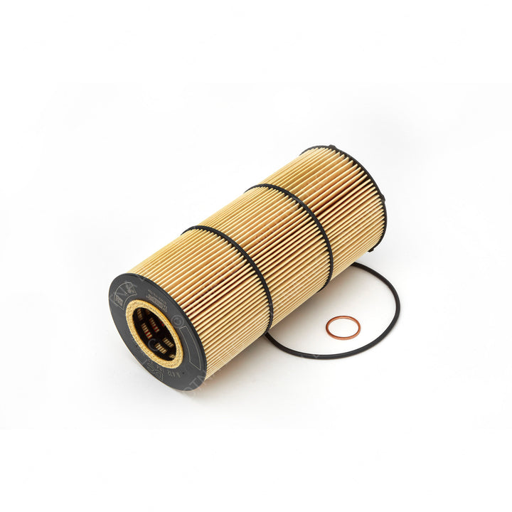DDE A4731800909 TS OIL FILTER