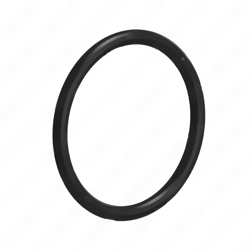 DDE A5419970445 SEAL RING
