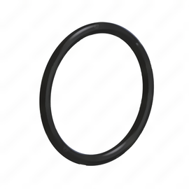 DDE A5419970445 SEAL RING