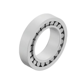DDE A6819810705 ROLLER BRG