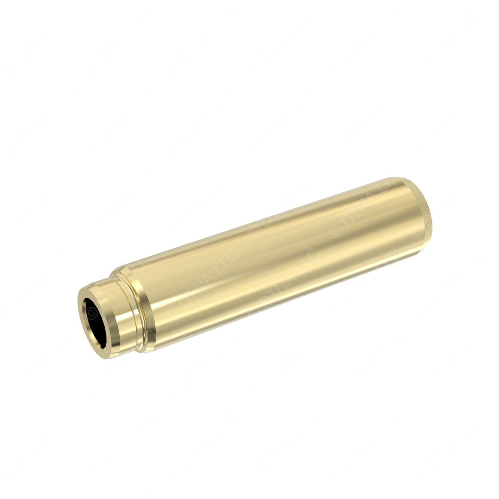 DDE A9060530230 VALVE GUIDE