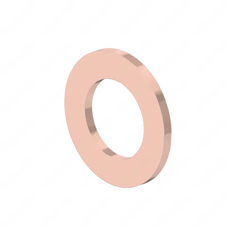 DDE N000000001066 SEALING RING - GENERAL PURPOSE