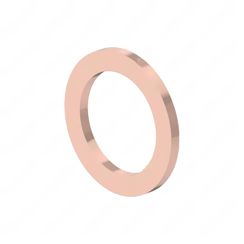 DDE N000000001069 SEALING RING, M14