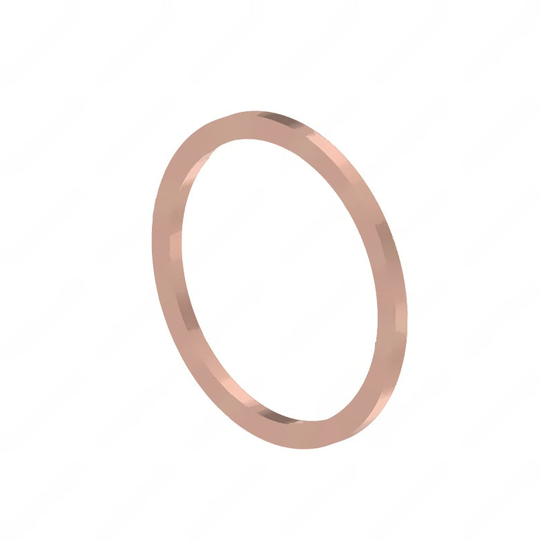 DDE N000000001103 SEALING RING, M33