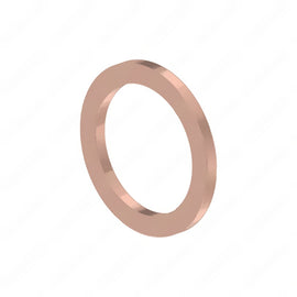 DDE N000000001390 SEALING RING, M10