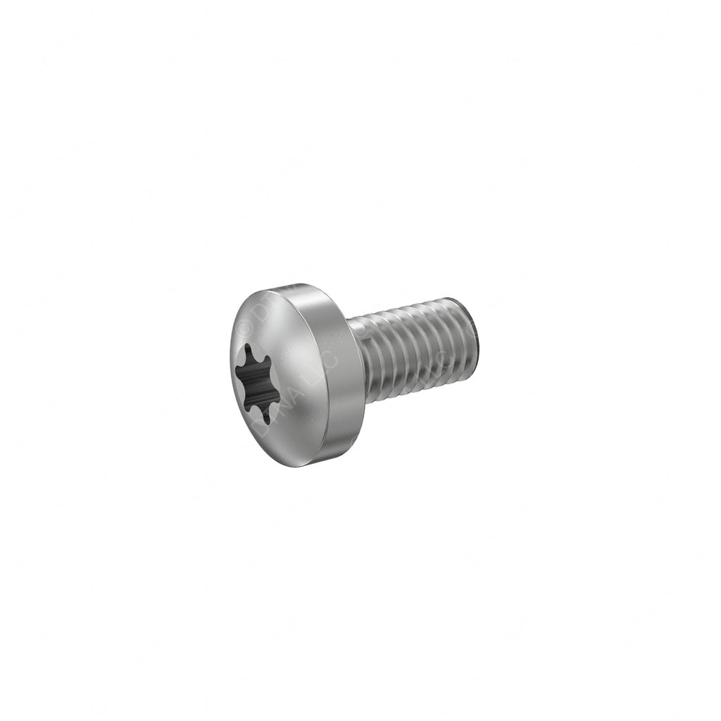 DDE N000000003120 SCREW