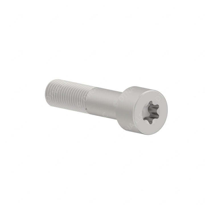 DDE N000000003828 BOLT