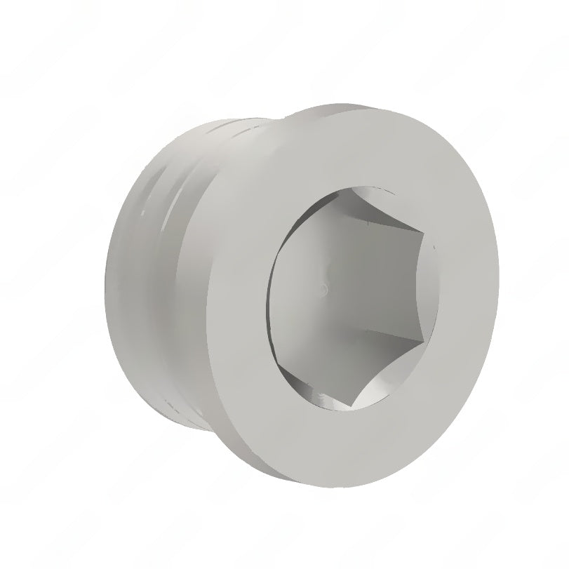 DDE N000908022011 SCREW PLUG, M22