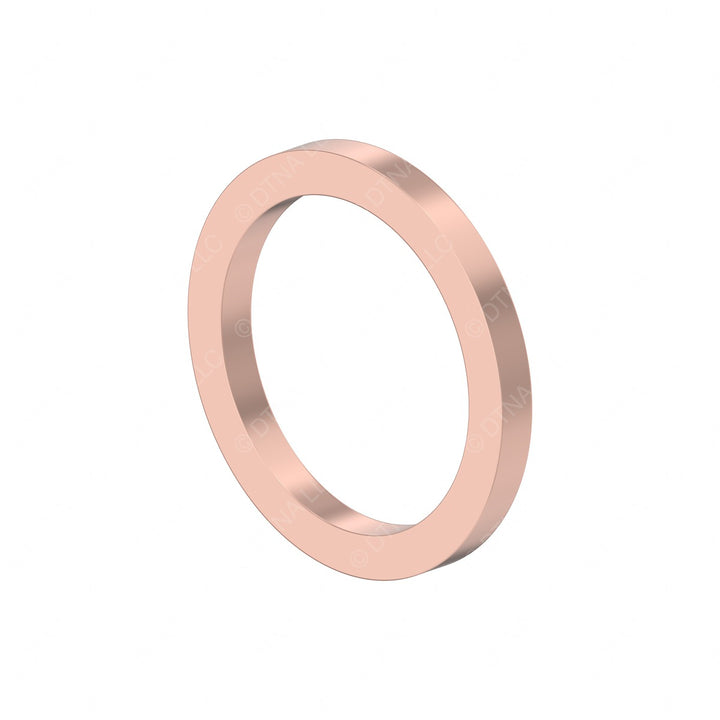 DDE N007603008103 SEAL RING