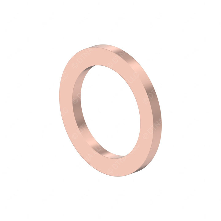 DDE N007603012110 SEAL RING
